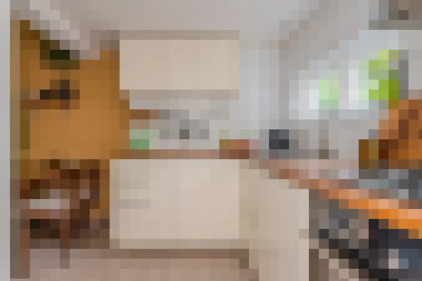 Nieuwe Nonnendaalseweg 362 Nijmegen thumbnail 16