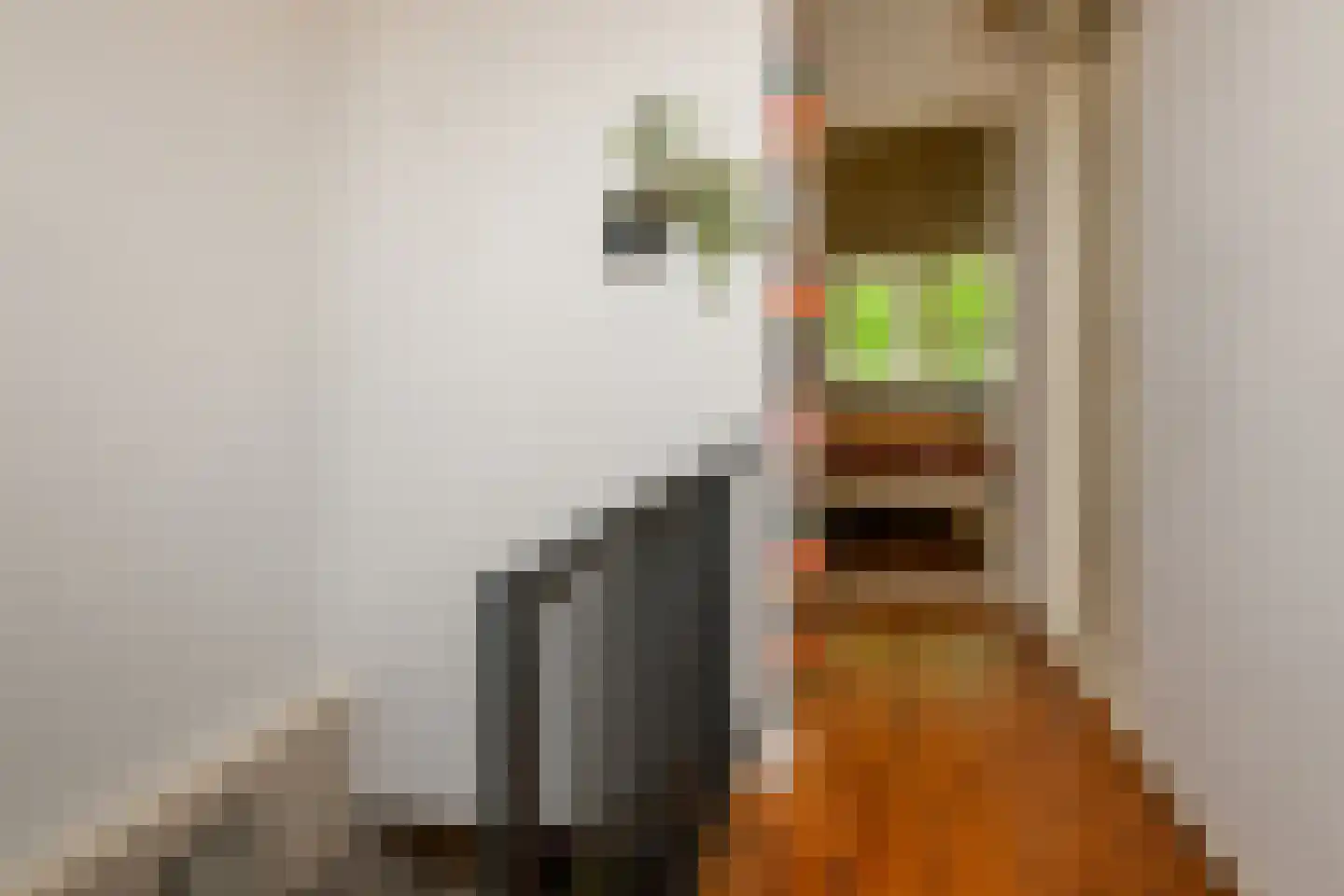 Nieuwe Nonnendaalseweg 362 Nijmegen thumbnail 20