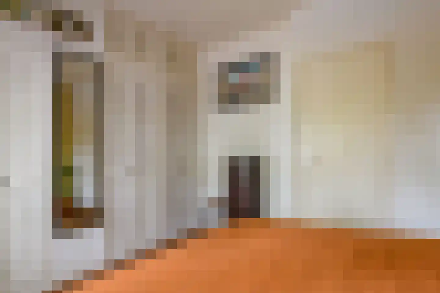 Nieuwe Nonnendaalseweg 362 Nijmegen thumbnail 24