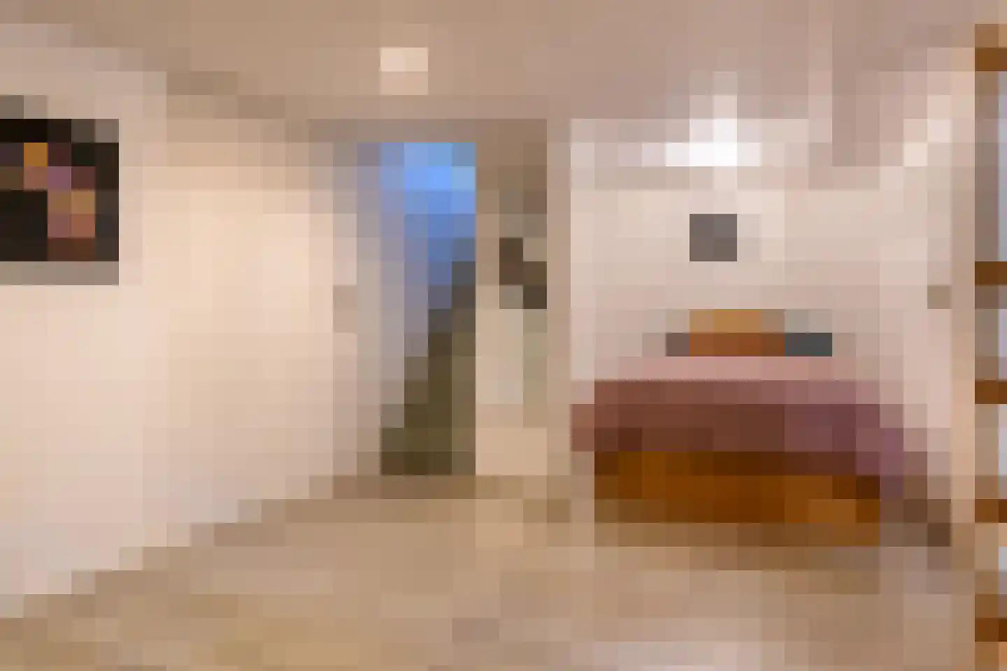 Nieuwe Nonnendaalseweg 362 Nijmegen thumbnail 28