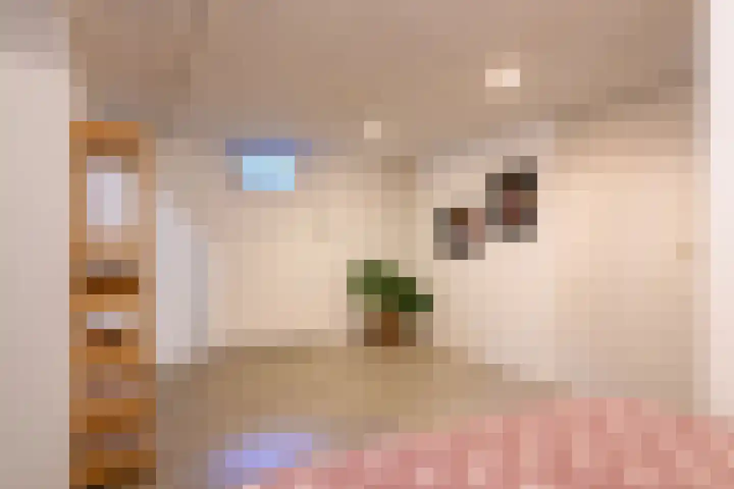 Nieuwe Nonnendaalseweg 362 Nijmegen thumbnail 30