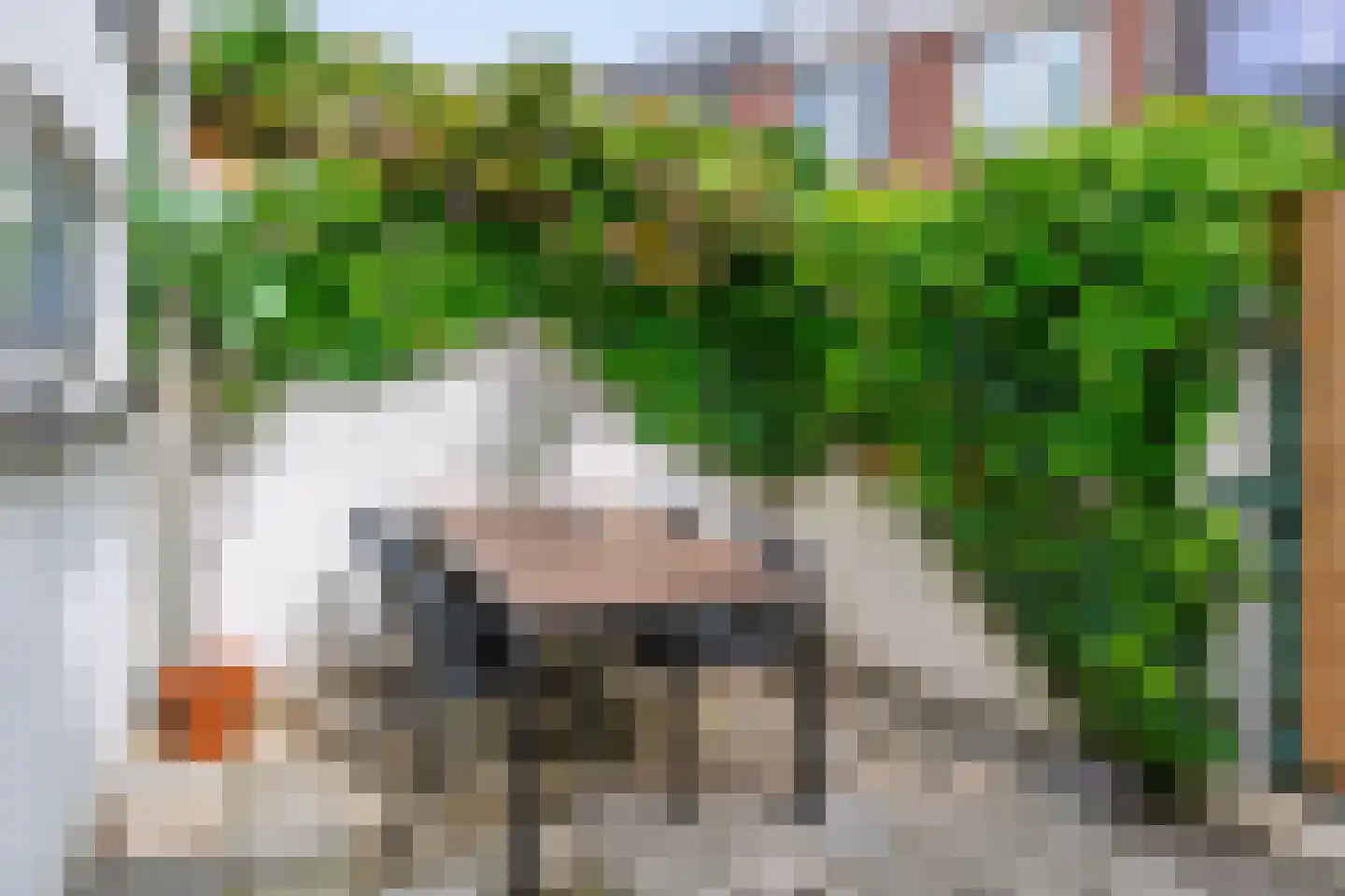 Nieuwe Nonnendaalseweg 362 Nijmegen thumbnail 4