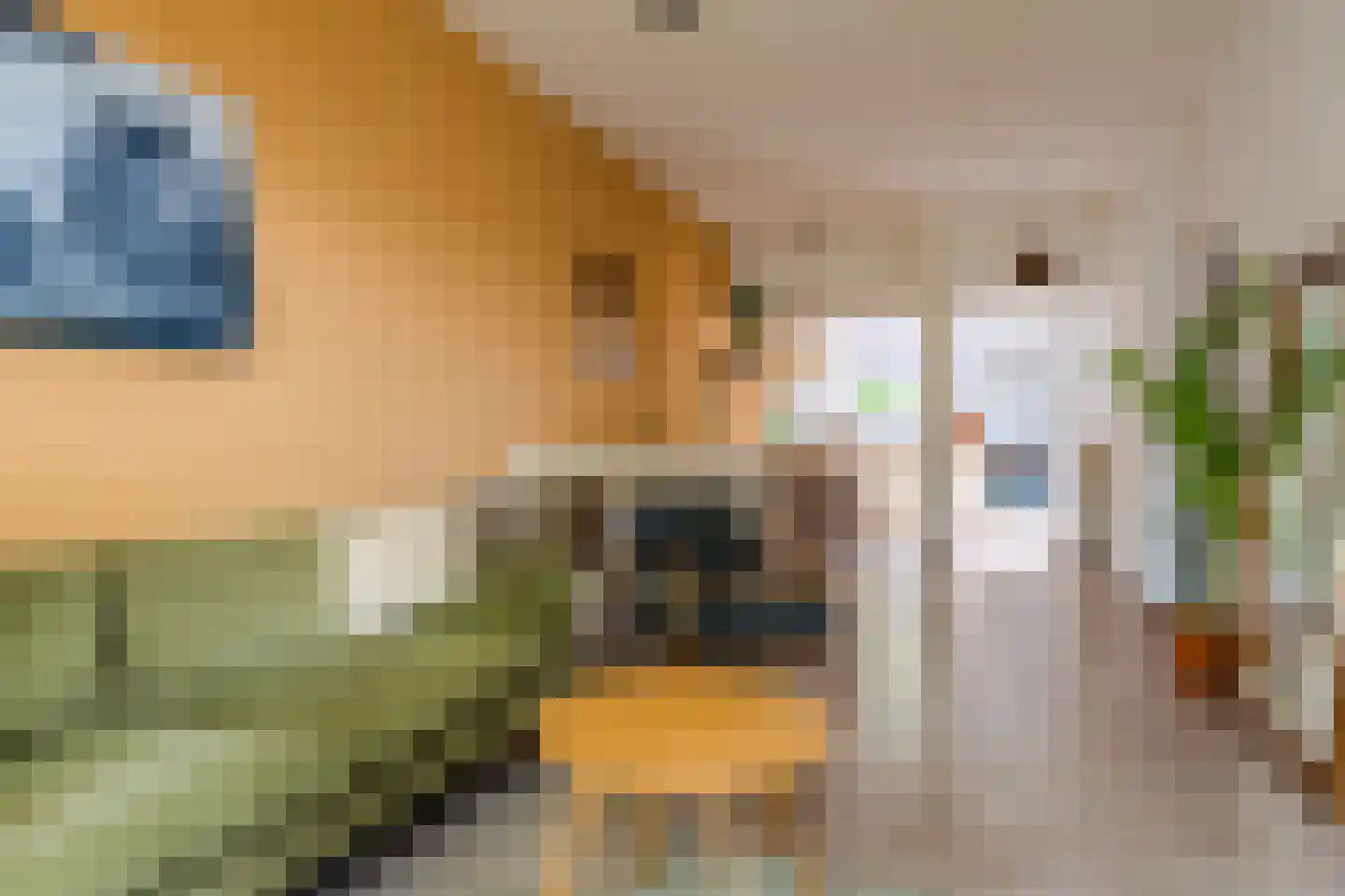 Nieuwe Nonnendaalseweg 362 Nijmegen thumbnail 8
