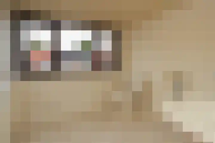 Nieuwe Nonnendaalseweg 370 Nijmegen thumbnail 21