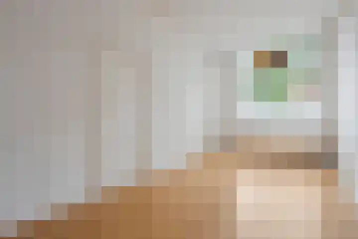 Nieuwe Nonnendaalseweg 43 Nijmegen thumbnail 12