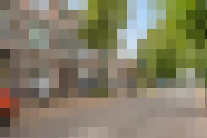 Nieuwe Nonnendaalseweg 43 Nijmegen thumbnail 6
