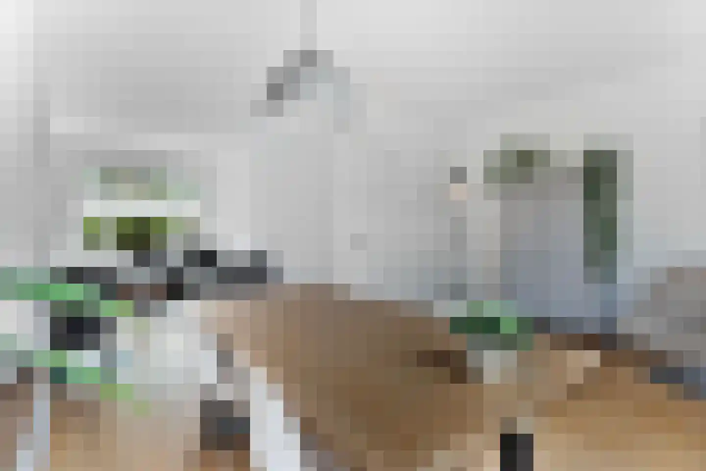 Nieuwe Nonnendaalseweg 5 Nijmegen thumbnail 11