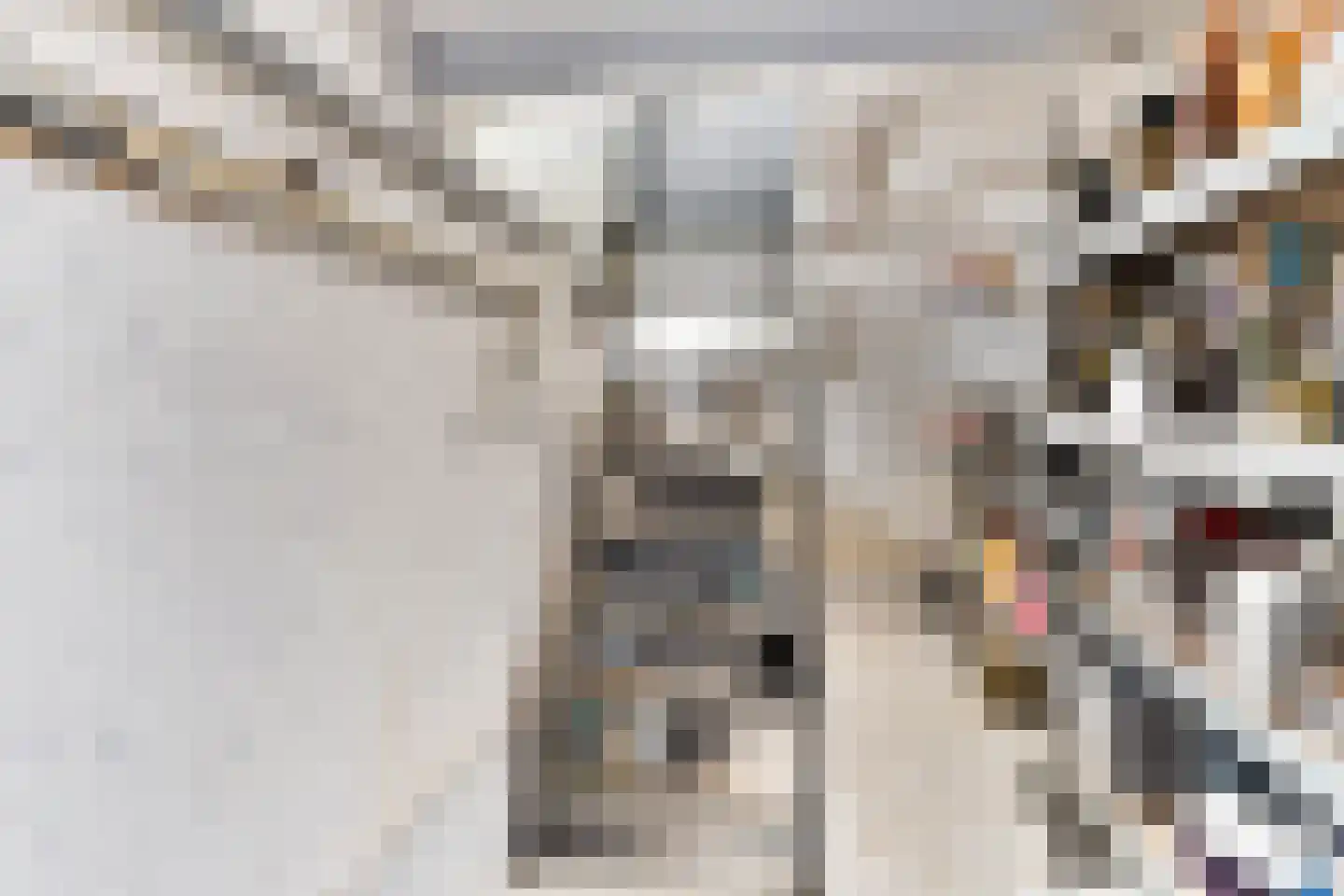 Nieuwe Nonnendaalseweg 5 Nijmegen thumbnail 21