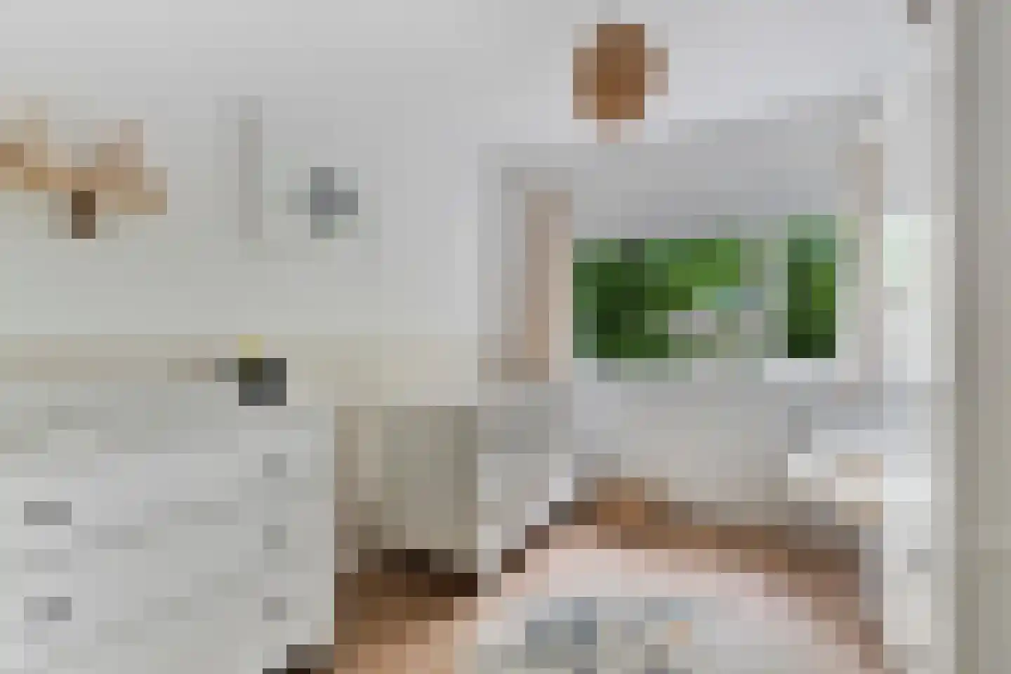 Nieuwe Nonnendaalseweg 5 Nijmegen thumbnail 34