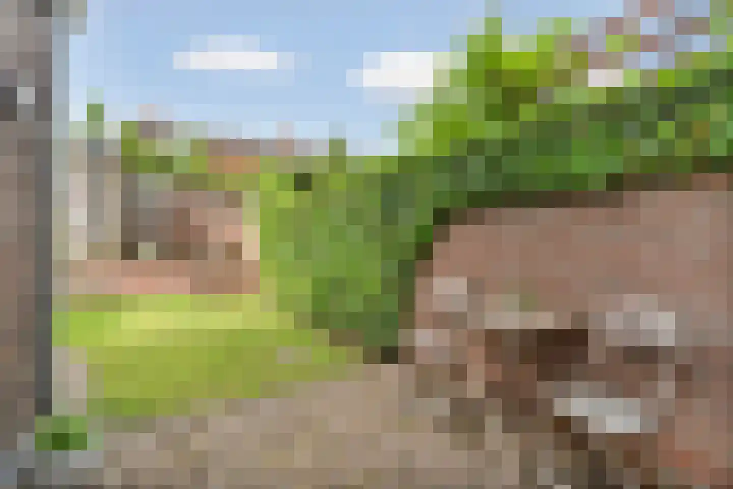 Nieuwe Nonnendaalseweg 5 Nijmegen thumbnail 44