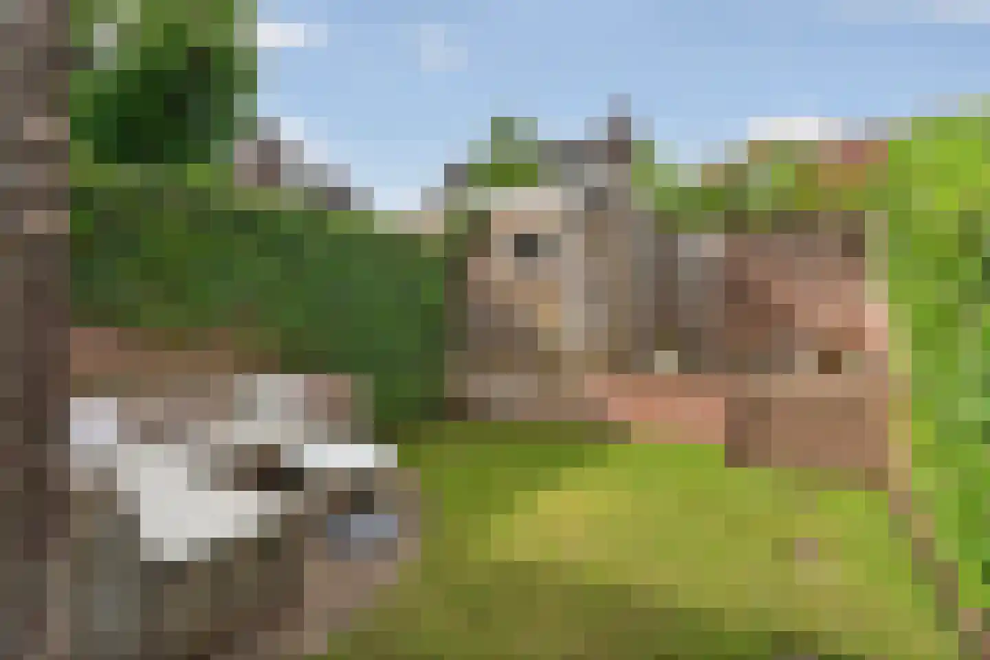 Nieuwe Nonnendaalseweg 5 Nijmegen thumbnail 45