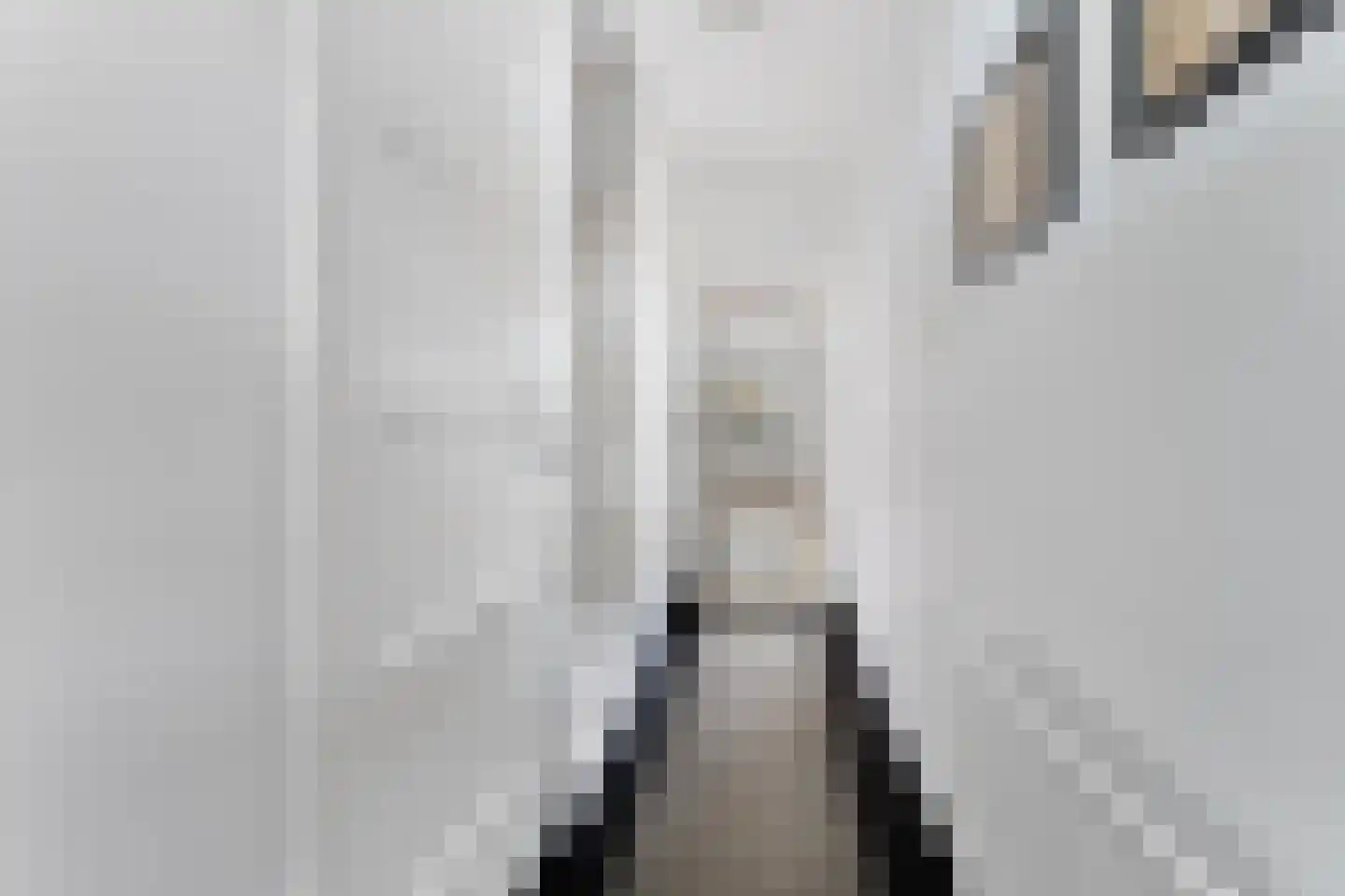 Nieuwe Nonnendaalseweg 5 Nijmegen thumbnail 6