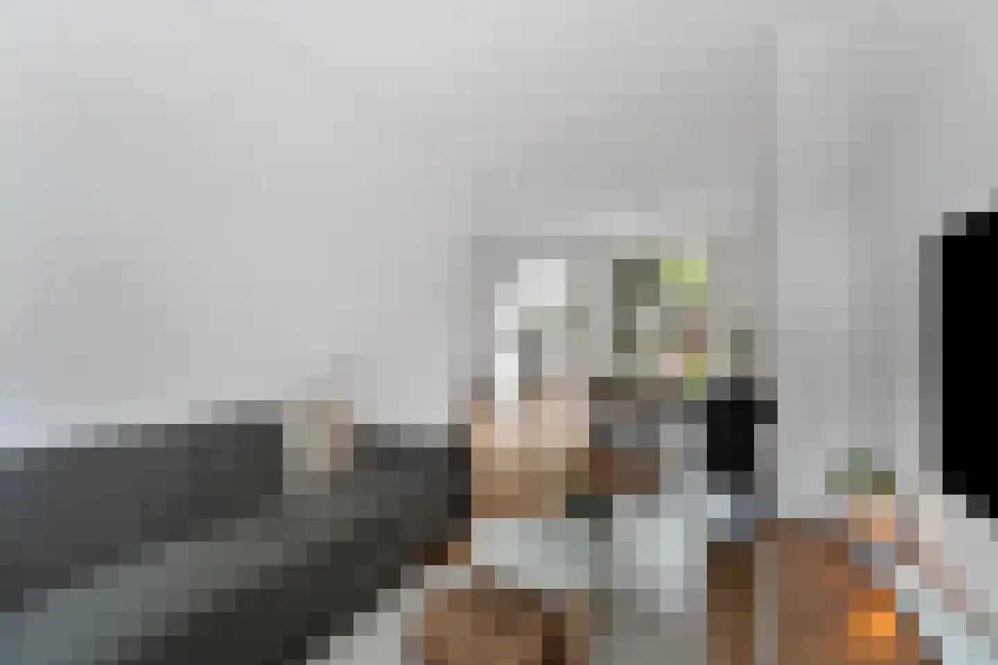 Nieuwe Nonnendaalseweg 5 Nijmegen thumbnail 9