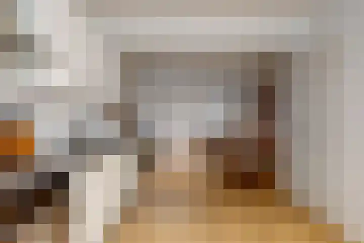 Nieuwe Noord 1 B Hoorn thumbnail 10