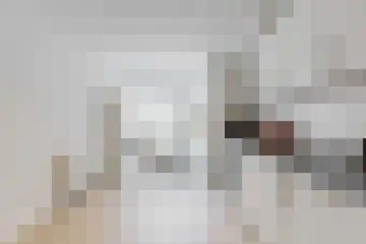 Nieuwe Noord 1 B Hoorn thumbnail 11