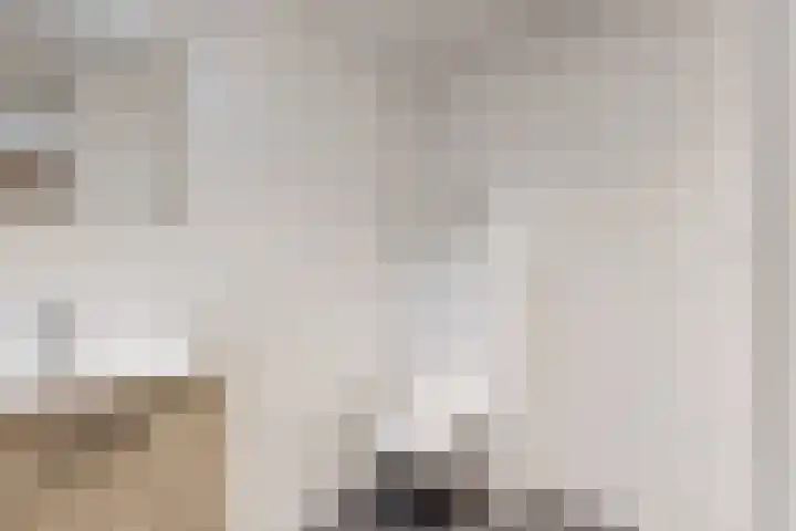 Nieuwe Noord 1 B Hoorn thumbnail 12