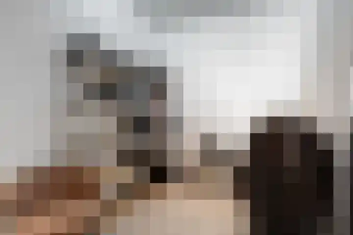 Nieuwe Noord 1 B Hoorn thumbnail 16