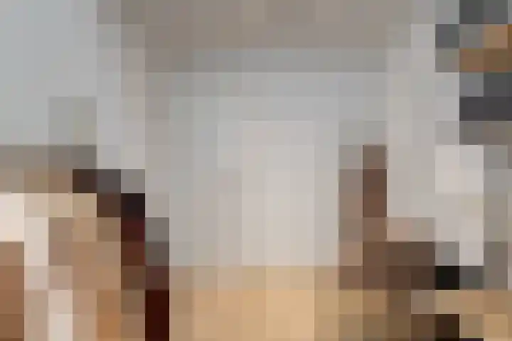 Nieuwe Noord 1 B Hoorn thumbnail 17
