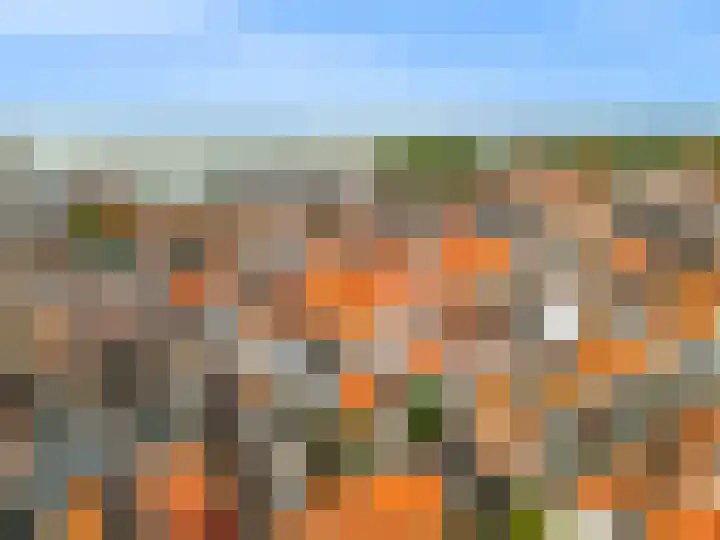 Nieuwe Noord 1 B Hoorn thumbnail 22