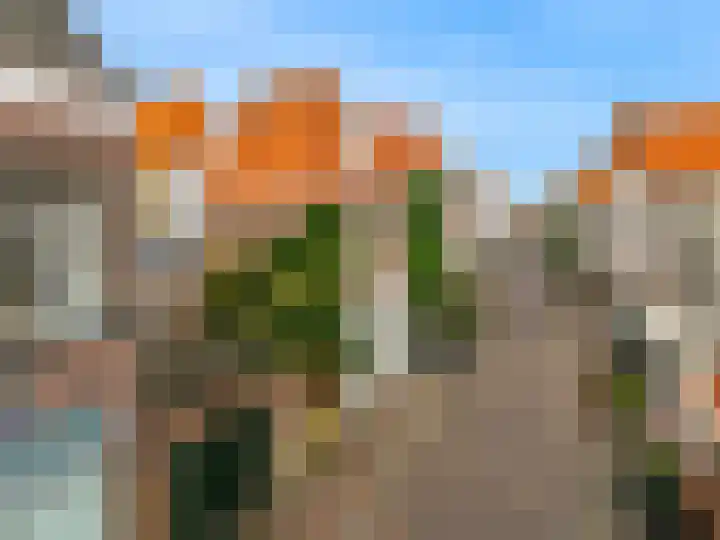Nieuwe Noord 1 B Hoorn thumbnail 23