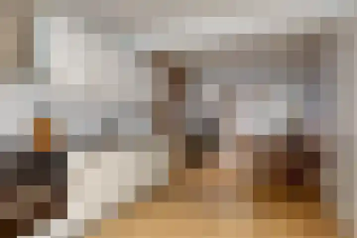 Nieuwe Noord 1 B Hoorn thumbnail 4