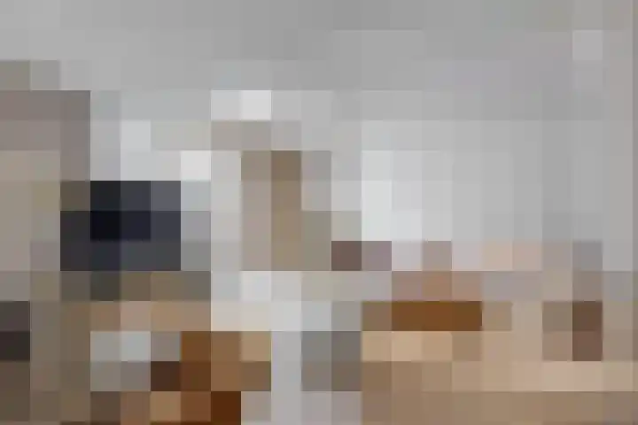Nieuwe Noord 1 B Hoorn thumbnail 5