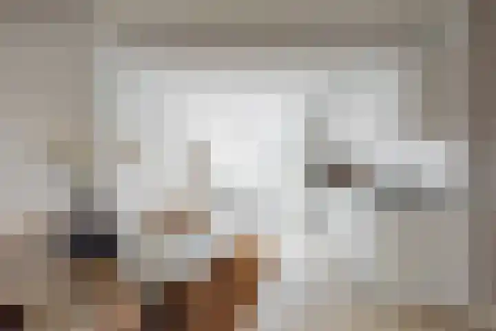 Nieuwe Noord 1 B Hoorn thumbnail 7
