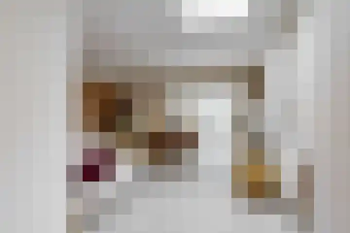 Nieuwe Noord 1 B Hoorn thumbnail 8
