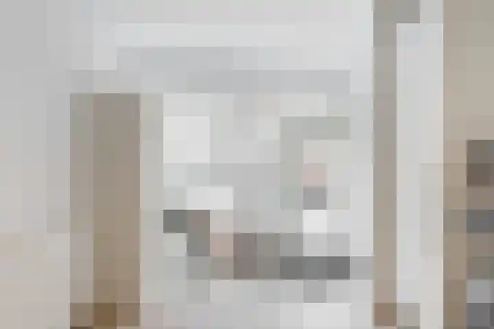 Nieuwe Noord 1 B Hoorn thumbnail 9