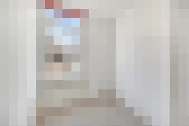 Nieuwe Noord 11 Hoorn thumbnail 14
