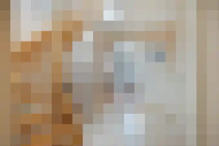 Nieuwe Noord 11 Hoorn thumbnail 16