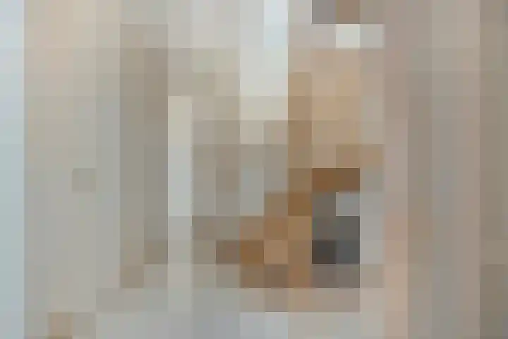 Nieuwe Noord 11 Hoorn thumbnail 19