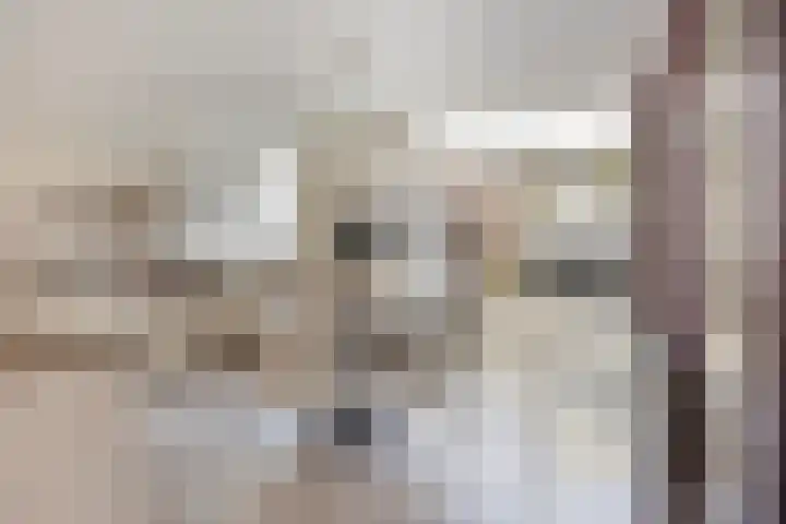 Nieuwe Noord 11 Hoorn thumbnail 29