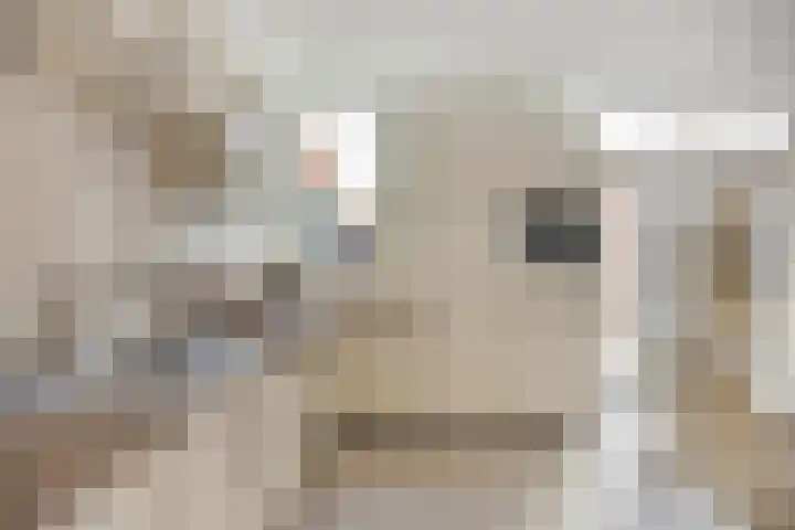 Nieuwe Noord 11 Hoorn thumbnail 30