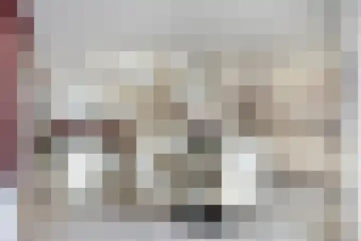 Nieuwe Noord 11 Hoorn thumbnail 34