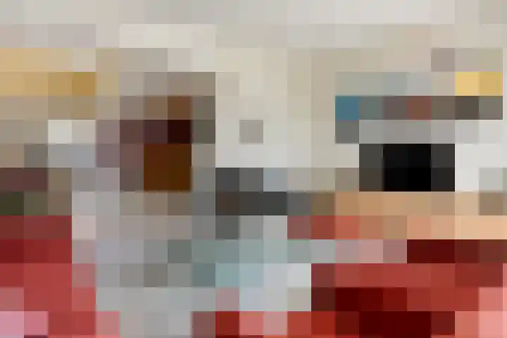 Nieuwe Noord 11 Hoorn thumbnail 38