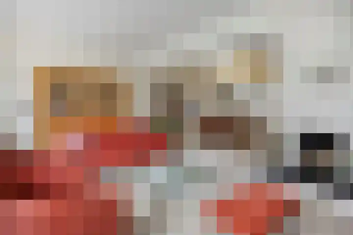 Nieuwe Noord 11 Hoorn thumbnail 39