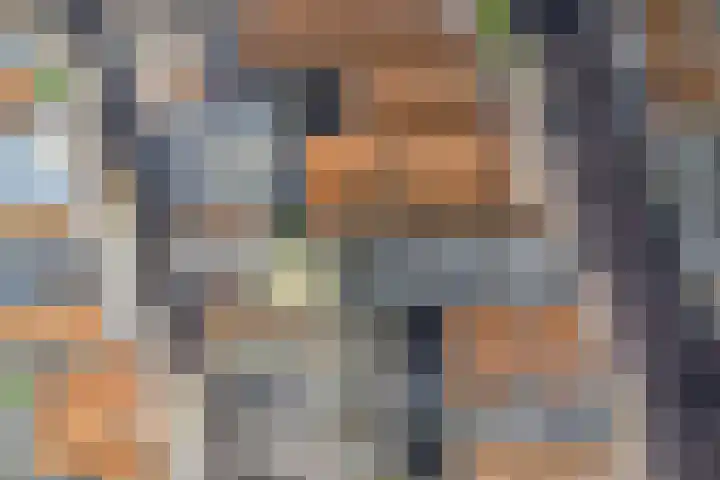 Nieuwe Noord 11 Hoorn thumbnail 4