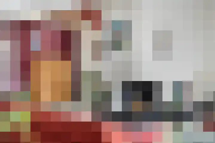 Nieuwe Noord 11 Hoorn thumbnail 40
