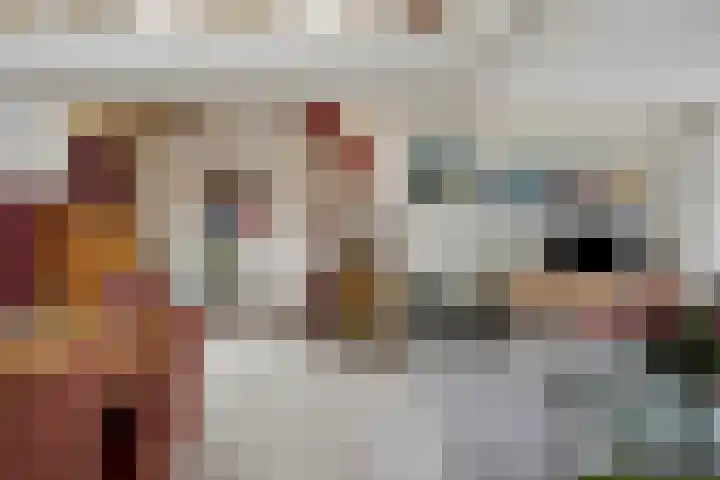 Nieuwe Noord 11 Hoorn thumbnail 42