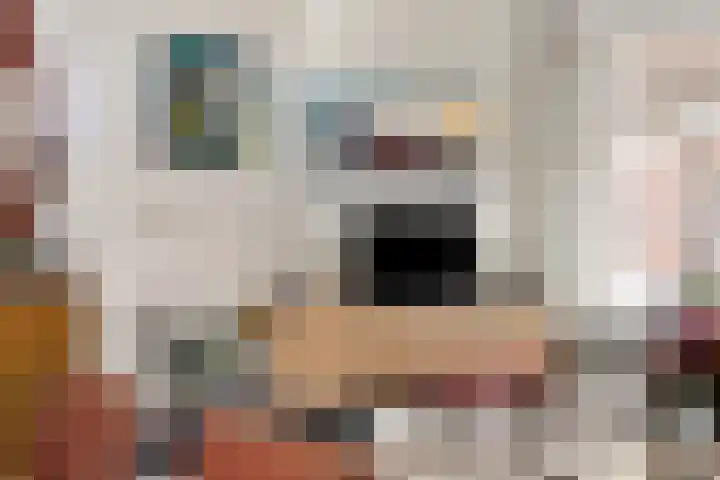 Nieuwe Noord 11 Hoorn thumbnail 48