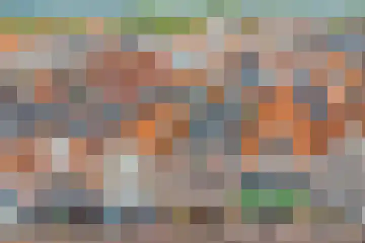 Nieuwe Noord 11 Hoorn thumbnail 5
