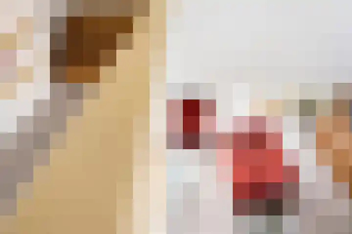Nieuwe Noord 11 Hoorn thumbnail 50