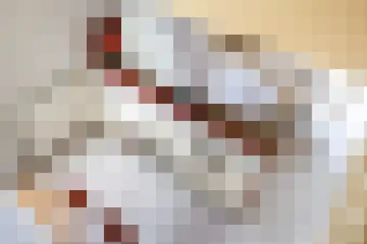 Nieuwe Noord 11 Hoorn thumbnail 51