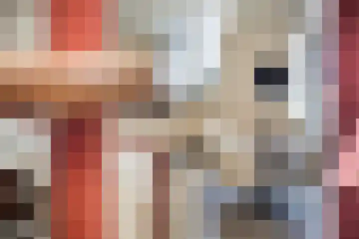 Nieuwe Noord 11 Hoorn thumbnail 52