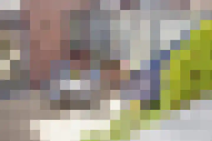 Nieuwe Noord 11 Hoorn thumbnail 59