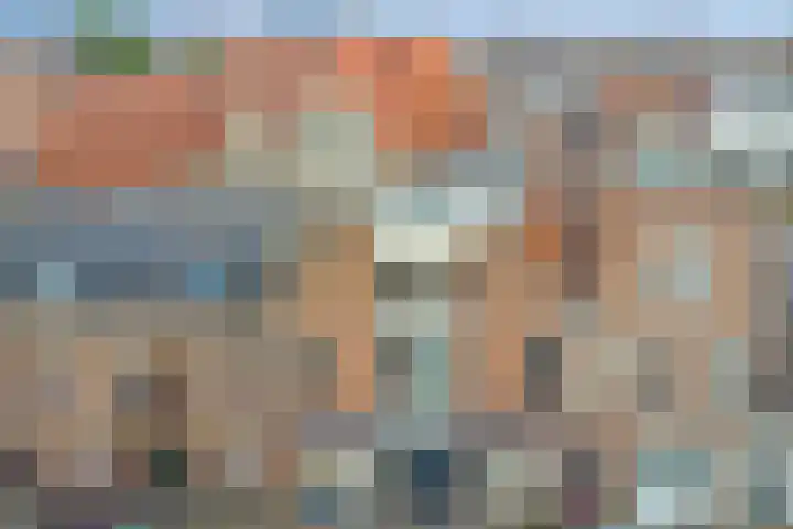 Nieuwe Noord 11 Hoorn thumbnail 6