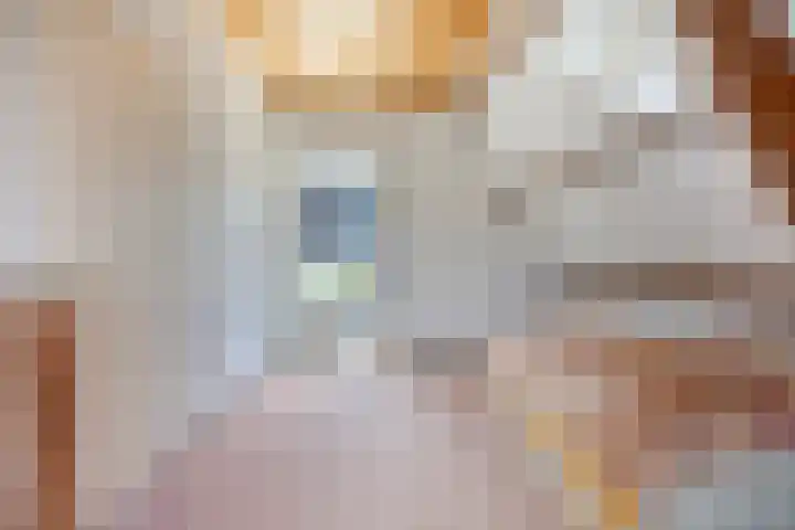 Nieuwe Noord 11 Hoorn thumbnail 63