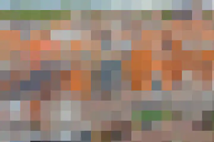 Nieuwe Noord 11 Hoorn thumbnail 67