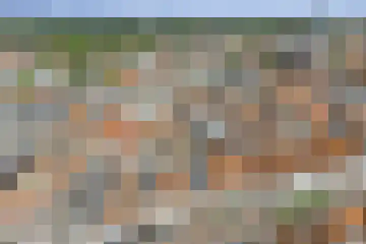 Nieuwe Noord 11 Hoorn thumbnail 68